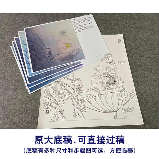 【有步骤、大彩图】杨冬冬工笔画白描底稿斗方小品《倩影摇波》荷花翠鸟初学者临摹花鸟线稿HD44 商品图1