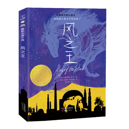 国际大奖小说--风之王 商品图0