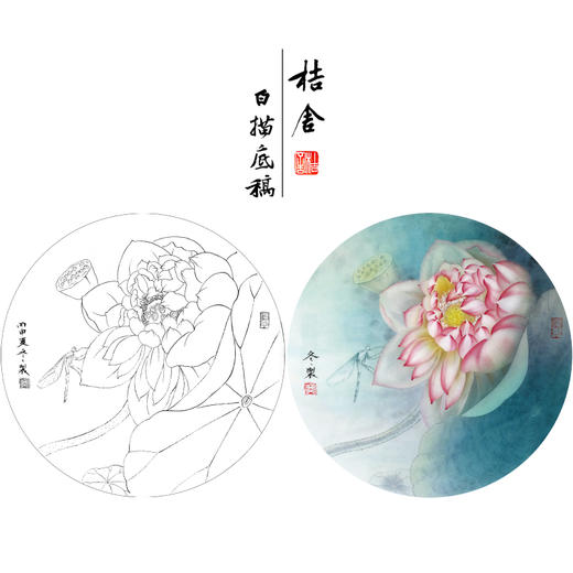 【有步骤、大彩图】杨冬冬工笔画白描底稿圆形小品《娇影》荷花初学者临摹花鸟线稿HD32 商品图0