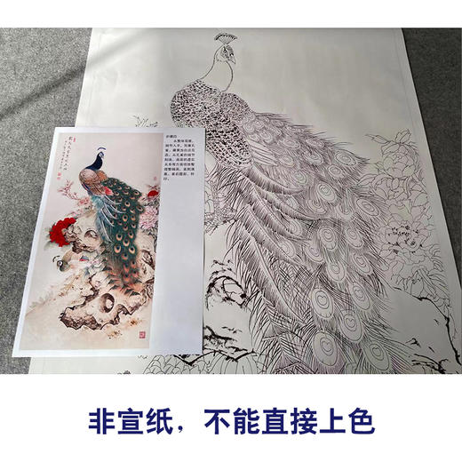 【有步骤】陈军工笔画白描底稿《国色天香翠羽生辉》孔雀牡丹初学者临摹花鸟线稿CJ39 商品图2
