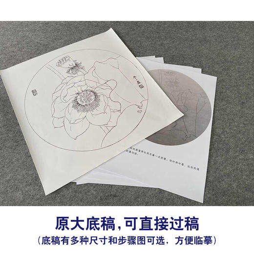 【有步骤、大彩图】杨冬冬工笔画白描底稿圆形小品《宛然》荷花初学者临摹花鸟线稿HD36 商品图1