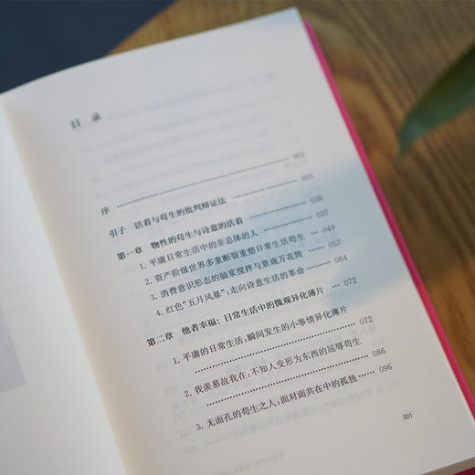 革命的诗性：浪漫主义的话语风暴 ——瓦纳格姆《日常生活的革命》的构境论解读 商品图4