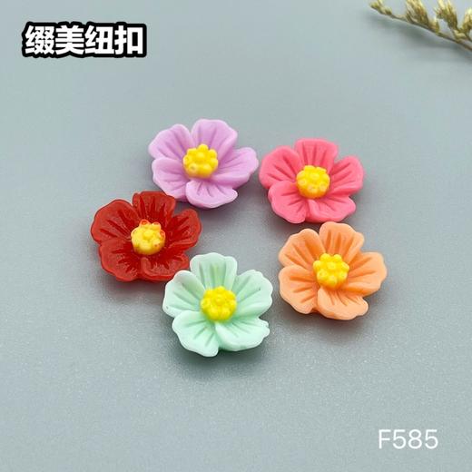 F585(整包购买) 商品图5