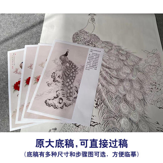 【有步骤】陈军工笔画白描底稿《国色天香翠羽生辉》孔雀牡丹初学者临摹花鸟线稿CJ39 商品图1