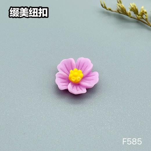 F585(整包购买) 商品图3