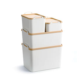 孙小美手提收纳箱 搬家厨房用品打包箱零食玩具收纳盒带盖塑料整理杂物化妆品储物筐