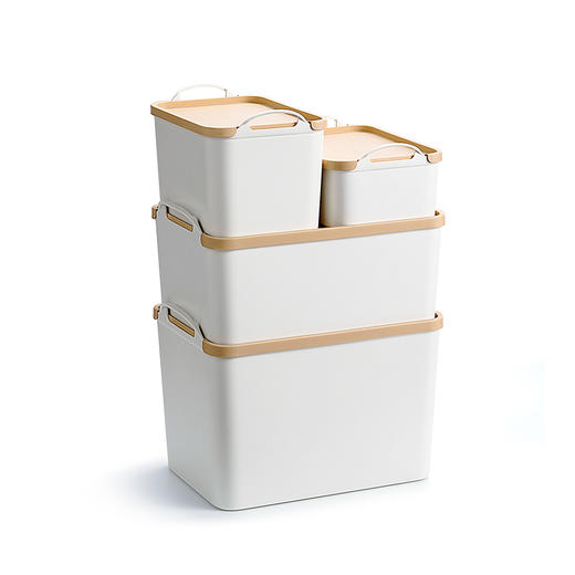 孙小美手提收纳箱 搬家厨房用品打包箱零食玩具收纳盒带盖塑料整理杂物化妆品储物筐 商品图0