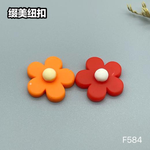 F584(整包购买) 商品图3