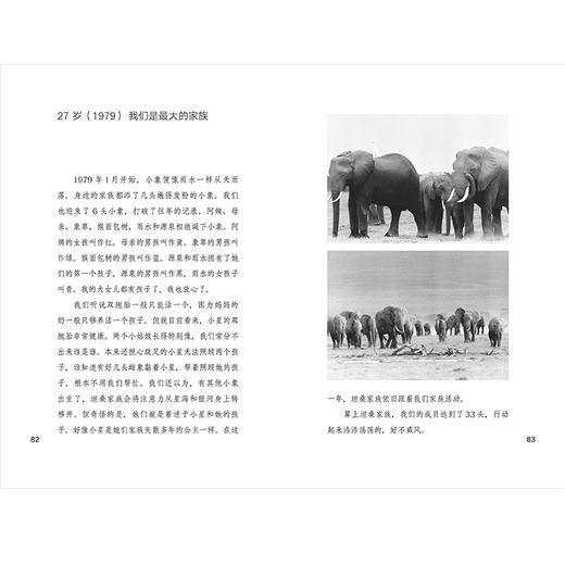 我们的旅程   三年级正版现货速发|名师推荐|小学生课外阅读3年级 商品图1