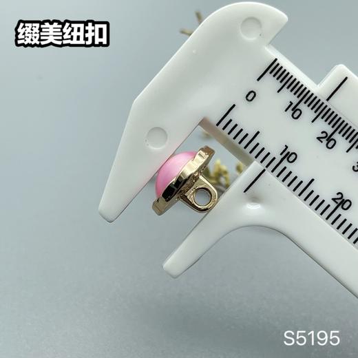 S5195(整包购买) 商品图10