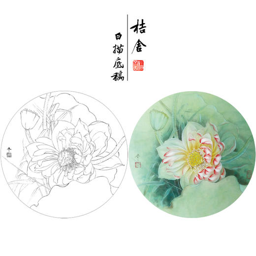 【有步骤、大彩图】杨冬冬工笔画白描底稿圆形小品《妙丽》荷花初学者临摹花鸟线稿HD35 商品图0