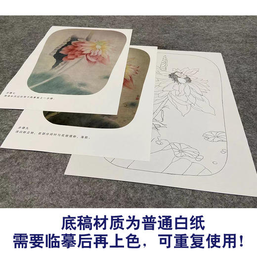 【有步骤、大彩图】杨冬冬工笔画白描底稿宫扇小品《濯濯清华》荷花初学者临摹花鸟线稿HD42 商品图3
