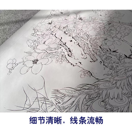 【有步骤】陈军横幅工笔花鸟画白描底稿《玉羽生辉富贵满堂》孔雀牡丹初学者临摹花鸟线稿CJ40 商品图4