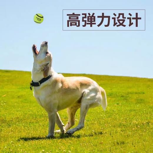 两只福狸网球 商品图0