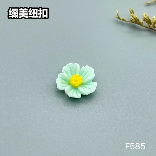 F585(整包购买) 商品图7