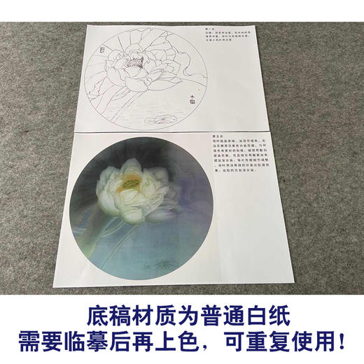 【有步骤、大彩图】杨冬冬工笔画白描底稿圆形小品《娇影》荷花初学者临摹花鸟线稿HD37 商品图3