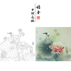 【有步骤、大彩图】杨冬冬工笔画白描底稿斗方小品《爱晴柔》荷花鹡鸰鸟初学者临摹花鸟线稿HD45