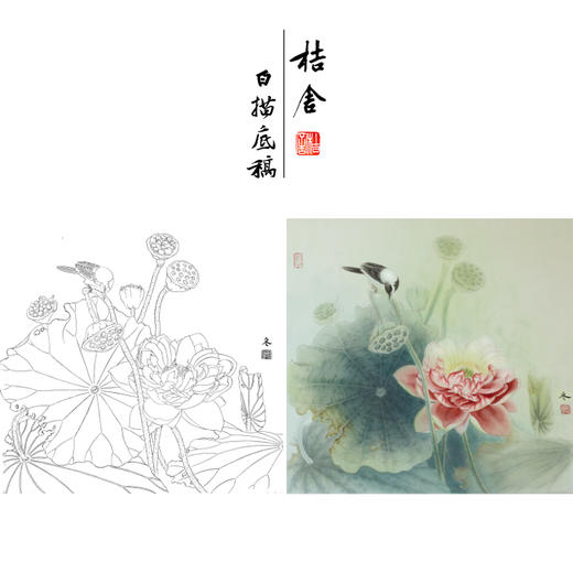 【有步骤、大彩图】杨冬冬工笔画白描底稿斗方小品《爱晴柔》荷花鹡鸰鸟初学者临摹花鸟线稿HD45 商品图0