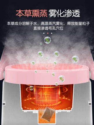 坐灸仪艾灸家用仪器宫寒熏蒸仪艾灸凳椅子坐垫艾灸座椅靠背熏蒸桶 干湿两用【艾灸仪器】 商品图1