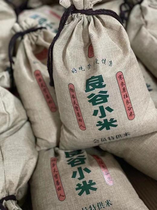 2025新米 沂蒙山蕃田·良谷小米色泽均匀饱满圆润干净无杂原色原香 5斤装/袋 商品图3