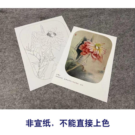 【有步骤、大彩图】杨冬冬工笔画白描底稿宫扇小品《濯濯清华》荷花初学者临摹花鸟线稿HD42 商品图2
