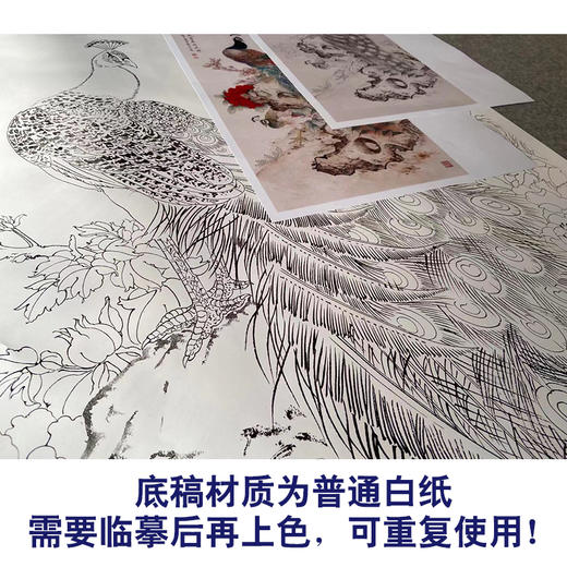 【有步骤】陈军工笔画白描底稿《国色天香翠羽生辉》孔雀牡丹初学者临摹花鸟线稿CJ39 商品图3
