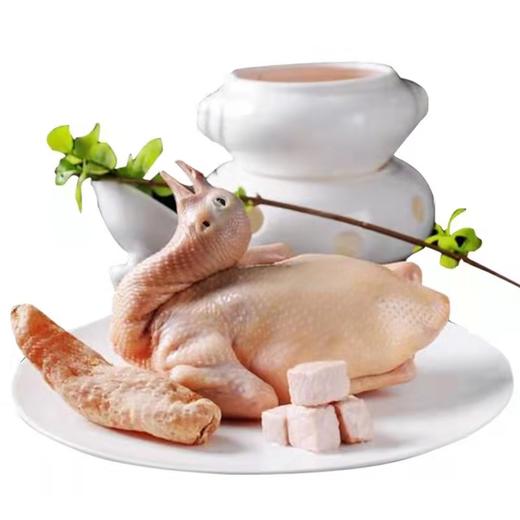 戚家-散养鸽子净镗 800G左右2只 商品图0