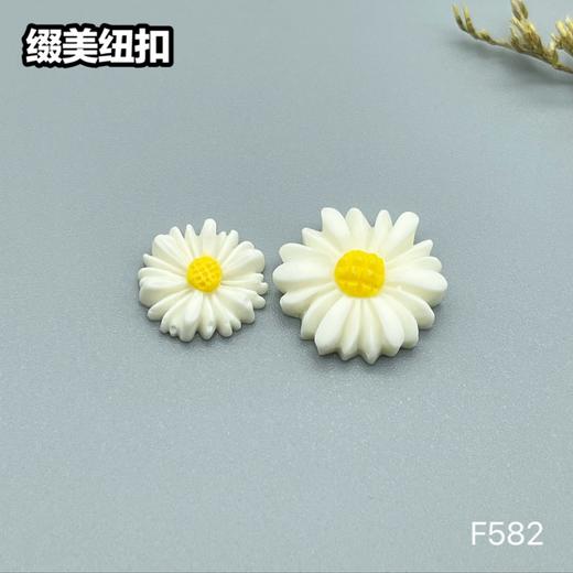 F582(整包购买) 商品图1