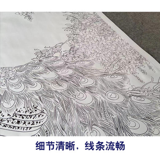 【有步骤】陈军四尺工笔画白描底稿《紫气东来》孔雀初学者临摹花鸟线稿CJ41 商品图4