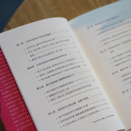 革命的诗性：浪漫主义的话语风暴 ——瓦纳格姆《日常生活的革命》的构境论解读 商品图5