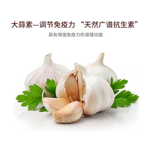 广誉远蒜油软胶囊0.3g*100粒(效期到2023年1月1号） 商品图3