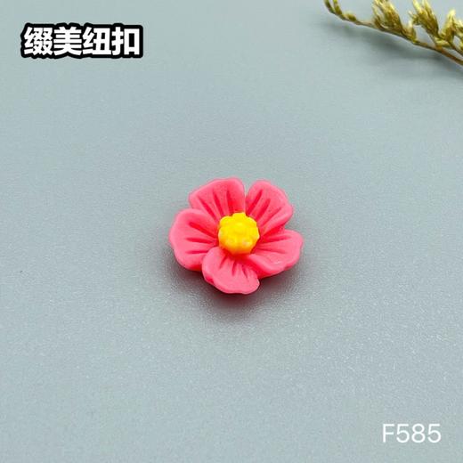 F585(整包购买) 商品图1