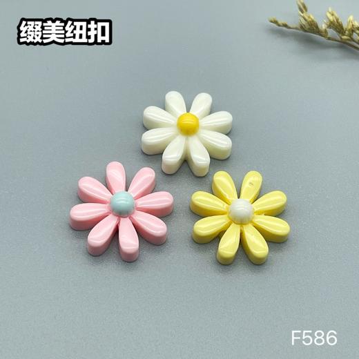 F586(整包购买) 商品图5