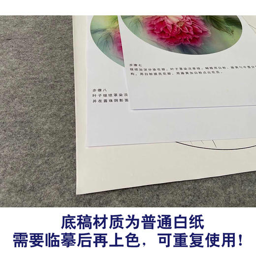 【有步骤、大彩图】杨冬冬工笔画白描底稿圆形小品《雨后》牡丹蝴蝶初学者临摹花鸟线稿HD39 商品图3