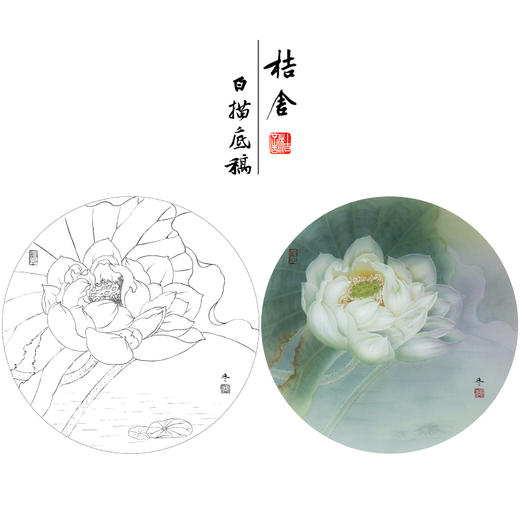 【有步骤、大彩图】杨冬冬工笔画白描底稿圆形小品《娇影》荷花初学者临摹花鸟线稿HD37 商品图0