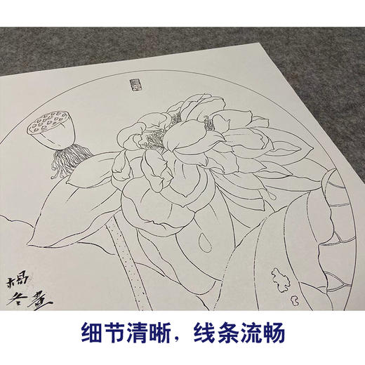 【有步骤、大彩图】杨冬冬工笔画白描底稿圆形小品《美怜》荷花初学者临摹花鸟线稿HD33 商品图4