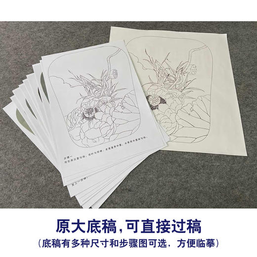 【有步骤、大彩图】杨冬冬工笔画白描底稿宫扇小品《亭亭玉立》荷花初学者临摹花鸟线稿HD41 商品图1