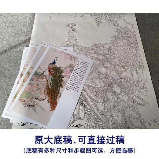 【有步骤】陈军四尺工笔画白描底稿《紫气东来》孔雀初学者临摹花鸟线稿CJ41 商品图1