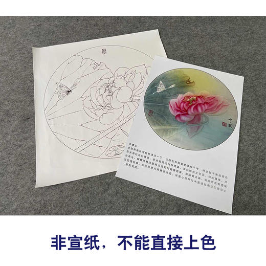 【有步骤、大彩图】杨冬冬工笔画白描底稿圆形小品《怡心》荷花蝴蝶初学者临摹花鸟线稿HD38 商品图2