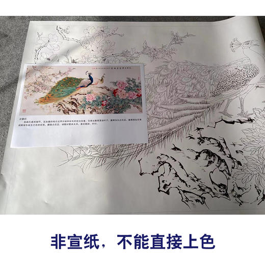 【有步骤】陈军横幅工笔花鸟画白描底稿《玉羽生辉富贵满堂》孔雀牡丹初学者临摹花鸟线稿CJ40 商品图2
