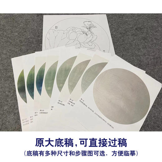 【有步骤、大彩图】杨冬冬工笔画白描底稿圆形小品《霁雨》荷花初学者临摹花鸟线稿HD31 商品图1
