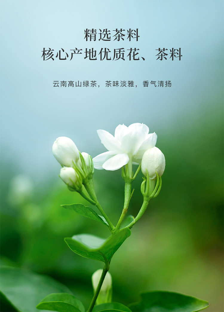 八马茶业丨花茶私享系列茉莉花茶自饮口粮茶160g(40包)