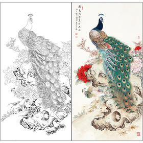 【有步骤】陈军工笔画白描底稿《国色天香翠羽生辉》孔雀牡丹初学者临摹花鸟线稿CJ39