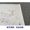 【有步骤、大彩图】杨冬冬工笔画白描底稿斗方小品《池上仙子》荷花翠鸟初学者临摹花鸟线稿HD46 商品缩略图4