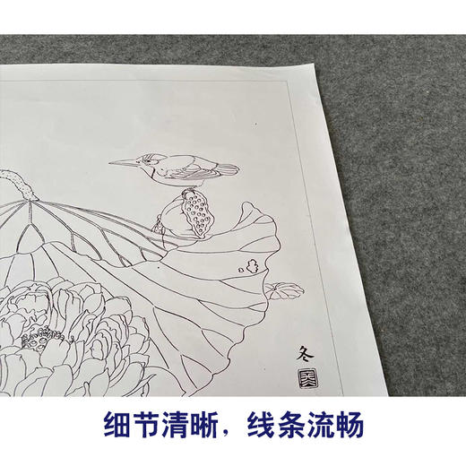 【有步骤、大彩图】杨冬冬工笔画白描底稿斗方小品《池上仙子》荷花翠鸟初学者临摹花鸟线稿HD46 商品图4