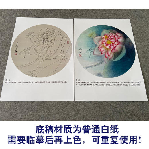 【有步骤、大彩图】杨冬冬工笔画白描底稿圆形小品《娇影》荷花初学者临摹花鸟线稿HD32 商品图3