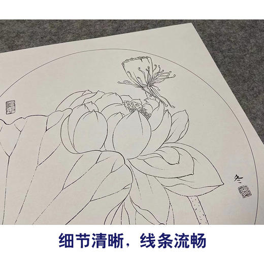 【有步骤、大彩图】杨冬冬工笔画白描底稿圆形小品《霁雨》荷花初学者临摹花鸟线稿HD31 商品图4