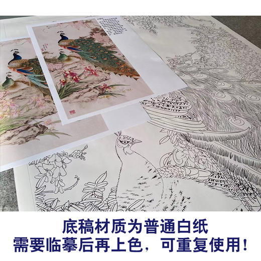 【有步骤】陈军四尺工笔画白描底稿《紫气东来》孔雀初学者临摹花鸟线稿CJ41 商品图3