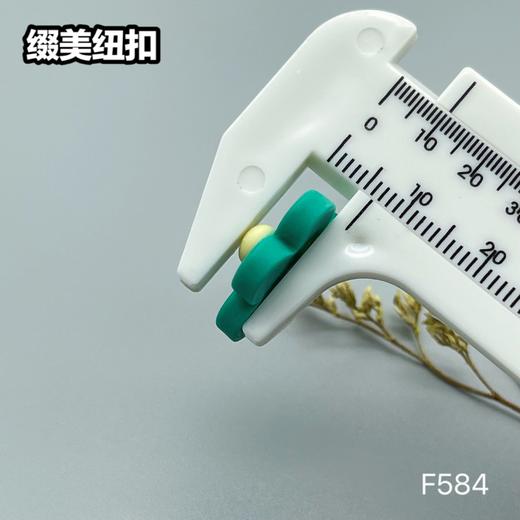 F584(整包购买) 商品图10