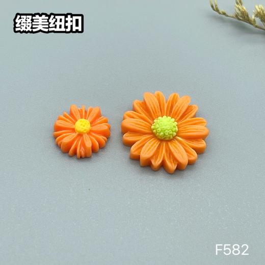 F582(整包购买) 商品图3